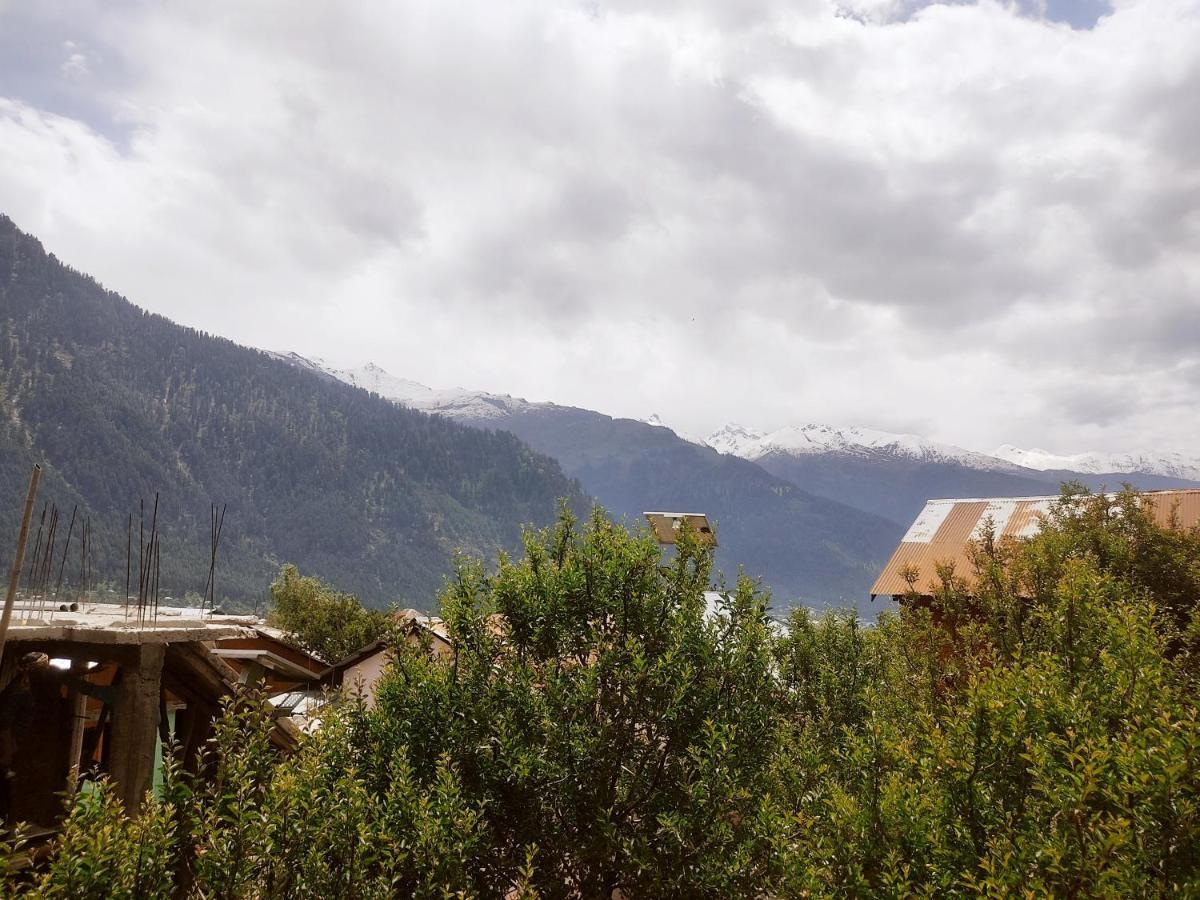 Woods Inn Mountain View Manali Экстерьер фото